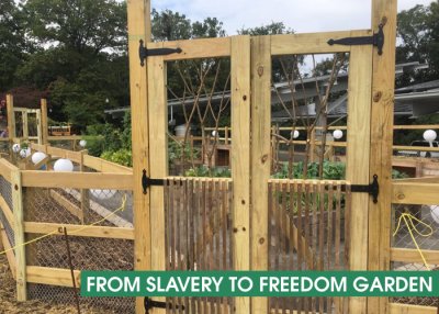 Jr. Garden Buds: The Secret Garden of George Washington Carver